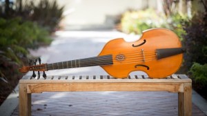 enqz5e4zssw3t589m5y3d0p7q7o